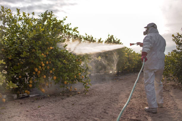 Best Best Pest Control Companies  in Pho, IL