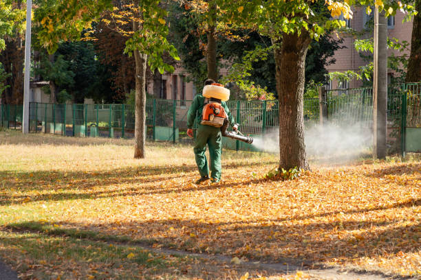 Professional Pest Control in Philo, IL