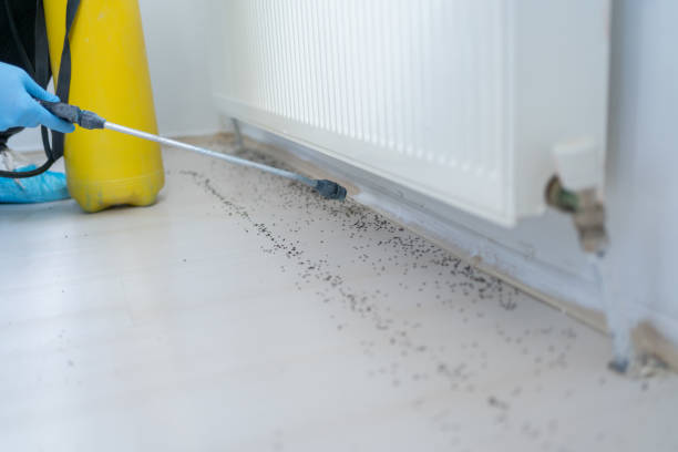 Best Best Pest Control Companies  in Pho, IL