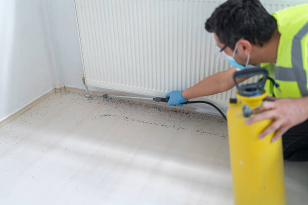 Best Emergency Pest Control  in Pho, IL