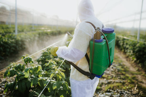 Pest Control for Restaurants in Philo, IL